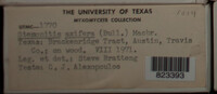 Image Associated With the Occurence